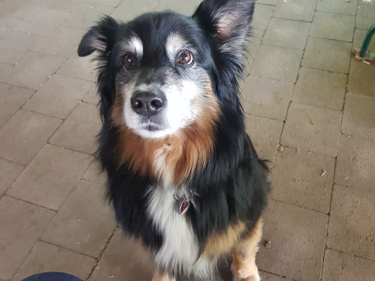 Arbeitseinsatz 2019-2 Bogenplatz