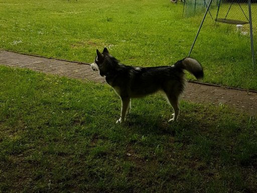 Erstes Bogentraining nach Corona